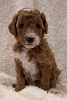 processed/bf41eeb8-ed3a-4013-a46c-8e303ab24451/listing/b85acf8f-aa72-4633-84b6-24fb0d9c0d5c/dbb7478e-7cca-4bc3-a747-9772945d1bbf