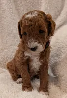 processed/bf41eeb8-ed3a-4013-a46c-8e303ab24451/listing/c335f6d0-2233-45a4-b380-889f9ed8ba0c/8c0989f0-f659-4d95-99a4-21a32f872ae2