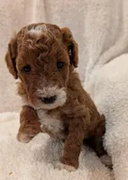 processed/bf41eeb8-ed3a-4013-a46c-8e303ab24451/listing/c335f6d0-2233-45a4-b380-889f9ed8ba0c/b957a79b-4509-44f5-8e29-022f5b0deeda