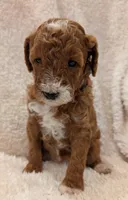 processed/bf41eeb8-ed3a-4013-a46c-8e303ab24451/listing/c335f6d0-2233-45a4-b380-889f9ed8ba0c/fb3e7bcf-034e-4e15-9774-ebbbcb9df2bd