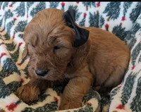 processed/bf41eeb8-ed3a-4013-a46c-8e303ab24451/listing/e3eeca5a-7005-4577-9236-dca43f56089a/bd3a82b3-70cb-4fc6-87e7-d0c90ce8c08b