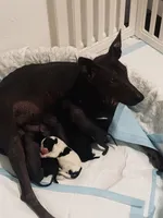 processed/bf41fb64-3ee2-4e57-9807-69c4df8aa592/facility/ed5f6af9-f6fd-4272-b691-280662836fa9