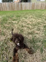 processed/bf4245aa-9043-44e1-858d-954a3fa2ed48/facility/640cb8b6-f779-43d5-9d40-4ae896b31035