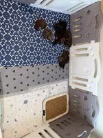 processed/bf4245aa-9043-44e1-858d-954a3fa2ed48/facility/883dc4df-a3b1-428b-bde6-8e117cd114be