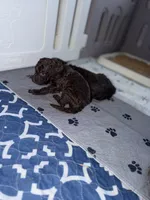 processed/bf4245aa-9043-44e1-858d-954a3fa2ed48/facility/d04209d8-9d14-4939-b0de-1296d389a584