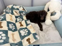 processed/bf4245aa-9043-44e1-858d-954a3fa2ed48/facility/e2c3896c-1b4d-4699-a4ed-6681733eebba