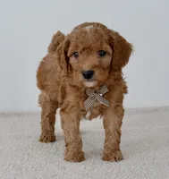 processed/bf42f85b-0a49-496a-aaf7-a3189a78df80/listing/bd6ee49d-3c5c-48f8-902a-2b6c10f95b36/1fea4dd2-78f0-4cc6-85b1-424f885bf3f3