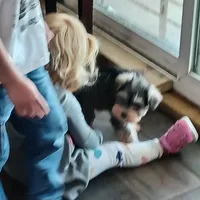 processed/bf43cf86-856f-4b3c-8941-aa0b2197acea/facility/165ea375-b997-445c-b355-4a25d7ed8a09