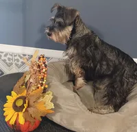 processed/bf43cf86-856f-4b3c-8941-aa0b2197acea/facility/264233ef-42e2-498a-a738-6b8f84d0f1c5