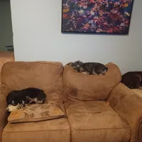 processed/bf43cf86-856f-4b3c-8941-aa0b2197acea/facility/28af497e-8135-407a-9f21-dfbddeb5ab62