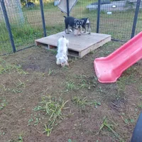 processed/bf43cf86-856f-4b3c-8941-aa0b2197acea/facility/51a2260a-58db-42c7-92a5-8c404b8103ea