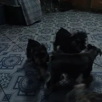 processed/bf43cf86-856f-4b3c-8941-aa0b2197acea/facility/b77433e9-1d9d-464b-986c-4fe95ceed54a