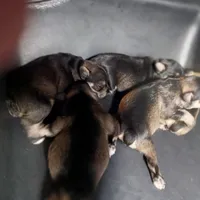 processed/bf43cf86-856f-4b3c-8941-aa0b2197acea/facility/bf91cce0-ba7f-464c-9624-b17eb1663145