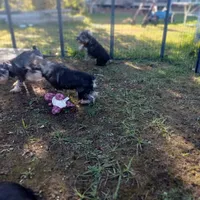 processed/bf43cf86-856f-4b3c-8941-aa0b2197acea/facility/c14363ed-d315-48bb-9dfd-d0ce60dc9f09