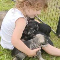 processed/bf43cf86-856f-4b3c-8941-aa0b2197acea/facility/f9a42d7f-85af-4659-8cb4-509f5a91ba9d