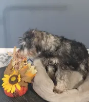 processed/bf43cf86-856f-4b3c-8941-aa0b2197acea/listing/68711b66-a491-417a-8536-b4c3fefdf998/0dd4a3bb-91bf-434e-8b95-b1623ef5facf