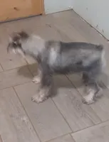 processed/bf43cf86-856f-4b3c-8941-aa0b2197acea/listing/68711b66-a491-417a-8536-b4c3fefdf998/5bf3028d-48ee-4daa-b50e-c14757f60558