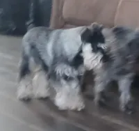 processed/bf43cf86-856f-4b3c-8941-aa0b2197acea/listing/68711b66-a491-417a-8536-b4c3fefdf998/bbee89c0-0755-4b02-9878-9867a3a00064