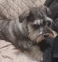 processed/bf43cf86-856f-4b3c-8941-aa0b2197acea/listing/68711b66-a491-417a-8536-b4c3fefdf998/f51a1225-07e8-4481-b6aa-c840905677a4