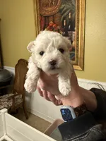 processed/bf4d02eb-3eb8-46b4-b408-00c43bde7882/listing/236ab9b3-3ff7-4db9-b927-72b0d7e32699/8d342dfd-e306-43c7-8d06-bfa6072ef275