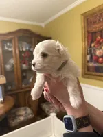 processed/bf4d02eb-3eb8-46b4-b408-00c43bde7882/listing/91b375d1-c36c-4ce9-8a7c-1362dce81527/52ab88c8-fb34-4ca0-9ec3-50a10ec067e1