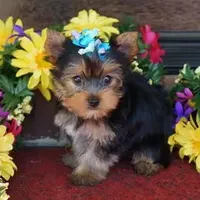 processed/bf515d0a-aa16-462b-8105-ab85ab87332e/facility/2cb44e1b-01a0-49d2-b47d-84b2bd9a5a52