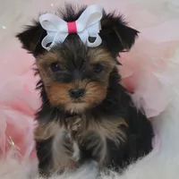 processed/bf515d0a-aa16-462b-8105-ab85ab87332e/facility/5e0a6ec4-a665-48b7-b723-cfc51e4bd65f