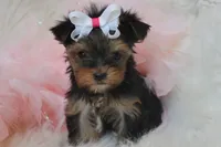 processed/bf515d0a-aa16-462b-8105-ab85ab87332e/facility/5e0a6ec4-a665-48b7-b723-cfc51e4bd65f