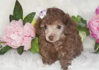 processed/bf515d0a-aa16-462b-8105-ab85ab87332e/facility/68cb6522-dc6b-4010-aaae-f7326a8cd870