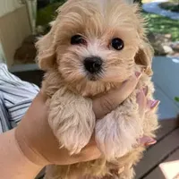 processed/bf515d0a-aa16-462b-8105-ab85ab87332e/facility/6ba2e1a0-8685-45a5-acd7-309e149338a1