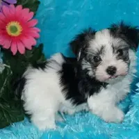 processed/bf515d0a-aa16-462b-8105-ab85ab87332e/facility/6dc02b48-b099-483e-aced-bfd3bd40ace0