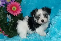 processed/bf515d0a-aa16-462b-8105-ab85ab87332e/facility/6dc02b48-b099-483e-aced-bfd3bd40ace0