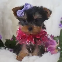 processed/bf515d0a-aa16-462b-8105-ab85ab87332e/facility/89af3712-6340-4b1d-88c4-2873ca6441bc