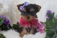 processed/bf515d0a-aa16-462b-8105-ab85ab87332e/facility/89af3712-6340-4b1d-88c4-2873ca6441bc