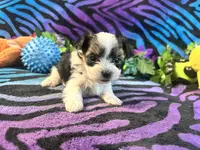 processed/bf515d0a-aa16-462b-8105-ab85ab87332e/listing/1a2050ed-bfa9-453f-9474-6479113548cc/36e7f43d-a3ad-43fb-870f-e59d3d1eb78a