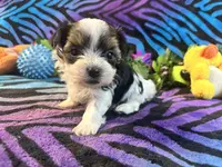 processed/bf515d0a-aa16-462b-8105-ab85ab87332e/listing/1a2050ed-bfa9-453f-9474-6479113548cc/7294c56c-ca20-42cc-955e-269f0e2aaef4