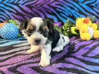 processed/bf515d0a-aa16-462b-8105-ab85ab87332e/listing/1a2050ed-bfa9-453f-9474-6479113548cc/ba5436aa-d728-43f5-a22c-d50930b5912f