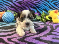 processed/bf515d0a-aa16-462b-8105-ab85ab87332e/listing/1a2050ed-bfa9-453f-9474-6479113548cc/d1f80fe6-17b0-40c5-996b-f7fa2257752b