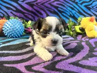 processed/bf515d0a-aa16-462b-8105-ab85ab87332e/listing/1a2050ed-bfa9-453f-9474-6479113548cc/d44f7585-0e51-47bc-9dbb-2cf614211972