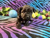 processed/bf515d0a-aa16-462b-8105-ab85ab87332e/listing/386b70a8-f3e5-4609-b58b-47fc36f54b8a/86c18967-7d9a-4a33-b2d2-b27fb84e7506