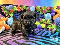 processed/bf515d0a-aa16-462b-8105-ab85ab87332e/listing/386b70a8-f3e5-4609-b58b-47fc36f54b8a/903bc72f-68eb-4665-b7c7-7f0065321566