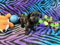 processed/bf515d0a-aa16-462b-8105-ab85ab87332e/listing/386b70a8-f3e5-4609-b58b-47fc36f54b8a/9b43c9fd-6688-43f6-aced-22019b593e95