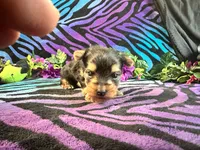 processed/bf515d0a-aa16-462b-8105-ab85ab87332e/listing/b064f918-c574-4c37-afbb-f808148f832b/62faaad2-8d46-47a0-9130-fcb7c54a8793