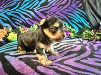 processed/bf515d0a-aa16-462b-8105-ab85ab87332e/listing/b064f918-c574-4c37-afbb-f808148f832b/a2c63d16-95dc-4133-a435-1cb6416195c4