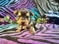 processed/bf515d0a-aa16-462b-8105-ab85ab87332e/listing/b064f918-c574-4c37-afbb-f808148f832b/fa62b183-425e-4dde-81b4-325923a55978