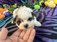 processed/bf515d0a-aa16-462b-8105-ab85ab87332e/listing/b2498ce1-fede-4e13-acd9-c02eccfd1f5b/859a3670-5341-4c55-a0c2-cad255eff4a3