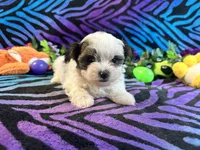 processed/bf515d0a-aa16-462b-8105-ab85ab87332e/listing/b2498ce1-fede-4e13-acd9-c02eccfd1f5b/ab1d7fd8-d8c1-4832-a96e-aed01ff78317