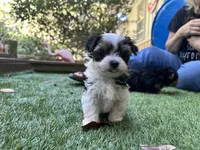 processed/bf515d0a-aa16-462b-8105-ab85ab87332e/listing/b99b122d-3523-4909-9180-836f9b54f4ad/202e003c-ade0-444a-8d06-cde5be789c56