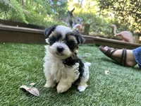 processed/bf515d0a-aa16-462b-8105-ab85ab87332e/listing/b99b122d-3523-4909-9180-836f9b54f4ad/54a2db00-9aa1-450a-84df-2260dc31fb22