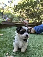 processed/bf515d0a-aa16-462b-8105-ab85ab87332e/listing/b99b122d-3523-4909-9180-836f9b54f4ad/68ec77cd-4ce3-4bae-9f95-405fb94cea8f